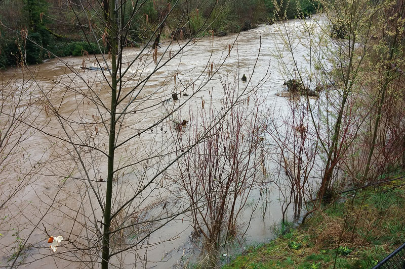 Johnson Creek High Water